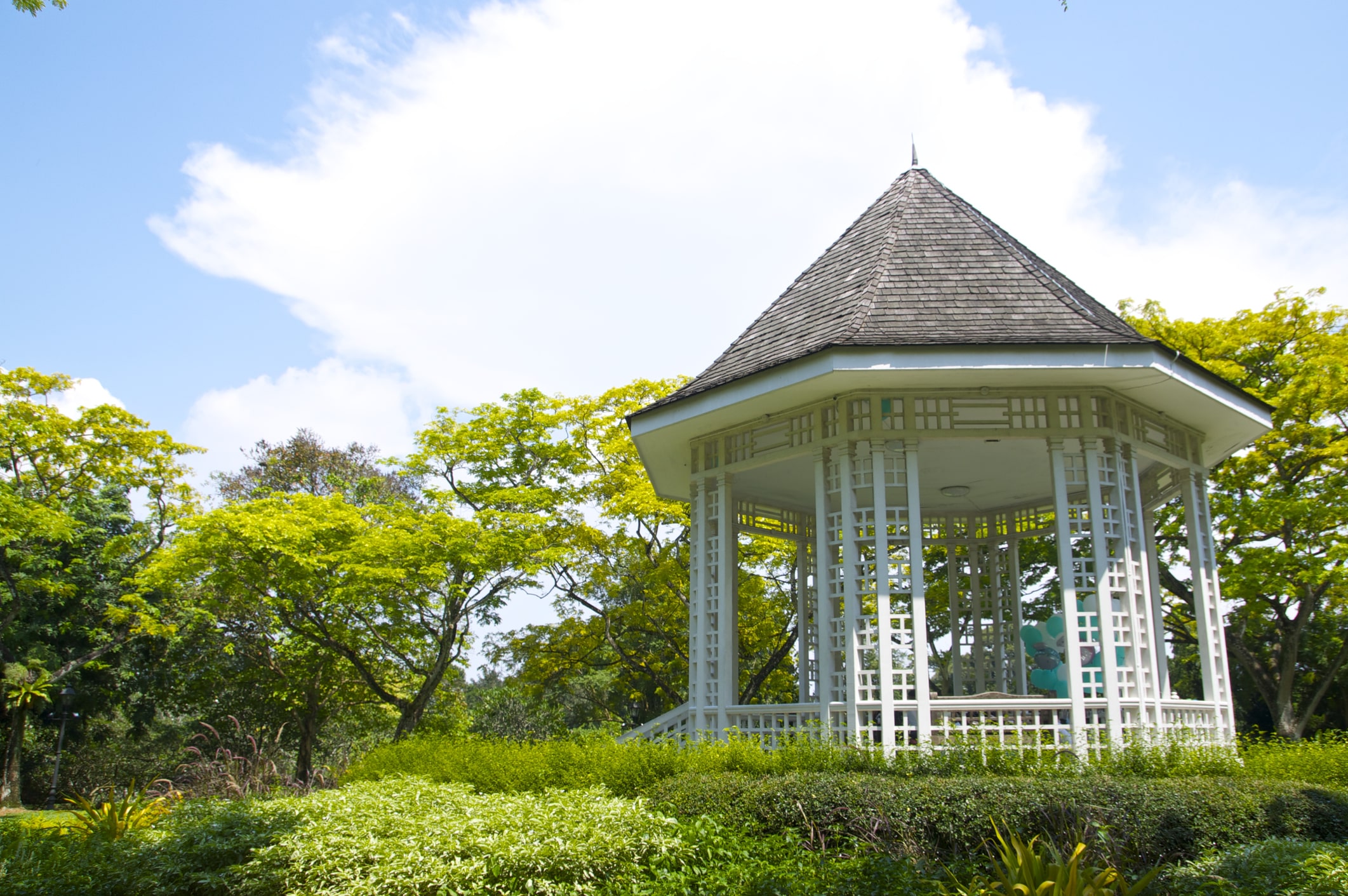 Singapore Botanic Gardens